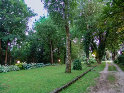 Haus kaufen in Wels – € 1.350.000 – Bild 14 von 15