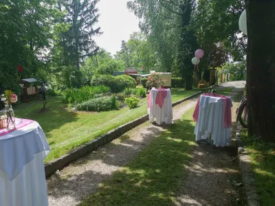 Haus kaufen in Wels – € 1.350.000 – Bild 3 von 15