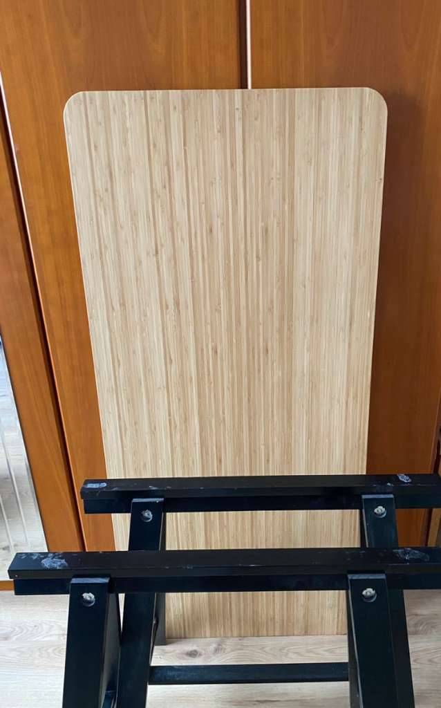 buying peyote cactus San Pedro Cactus for Sale Trichocereus main image 0