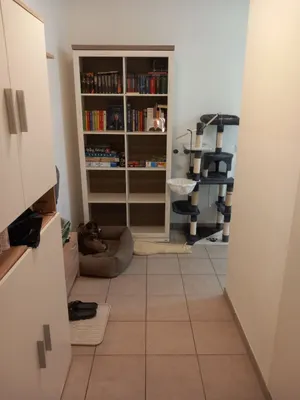 3-Zimmer-Wohnung mieten in Scheibbs – 72 m², € 643
