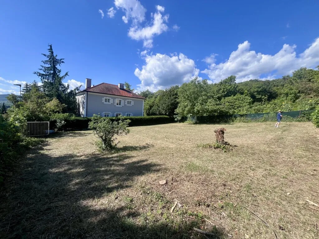 Wunderschönes Baugrundstück am Mitterberg - Ansicht 2