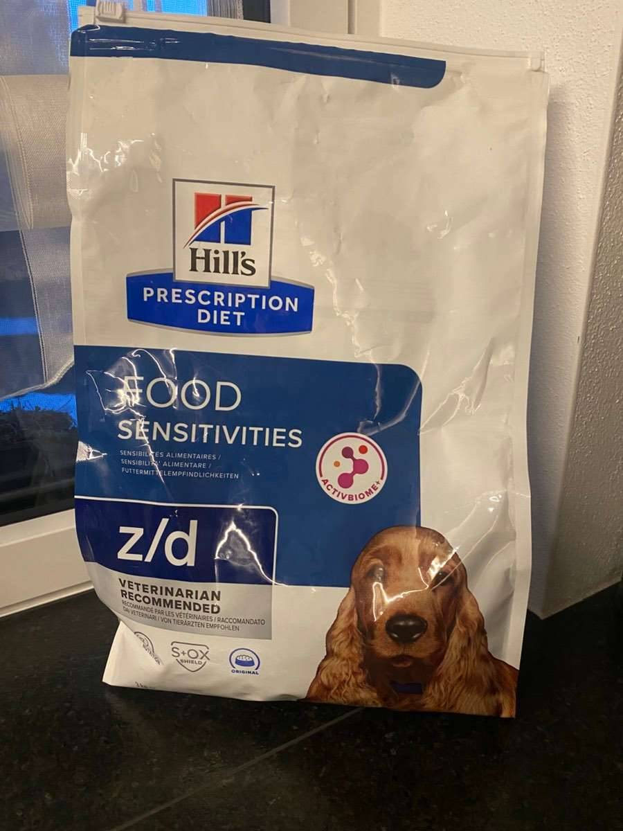 kühlendes hundebett Kühlendes Sofa für Haustiere – tier-herzen