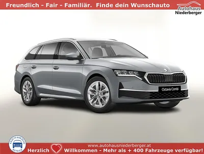 Skoda Octavia Combi Selection DSG Selec ACC el.Hec...