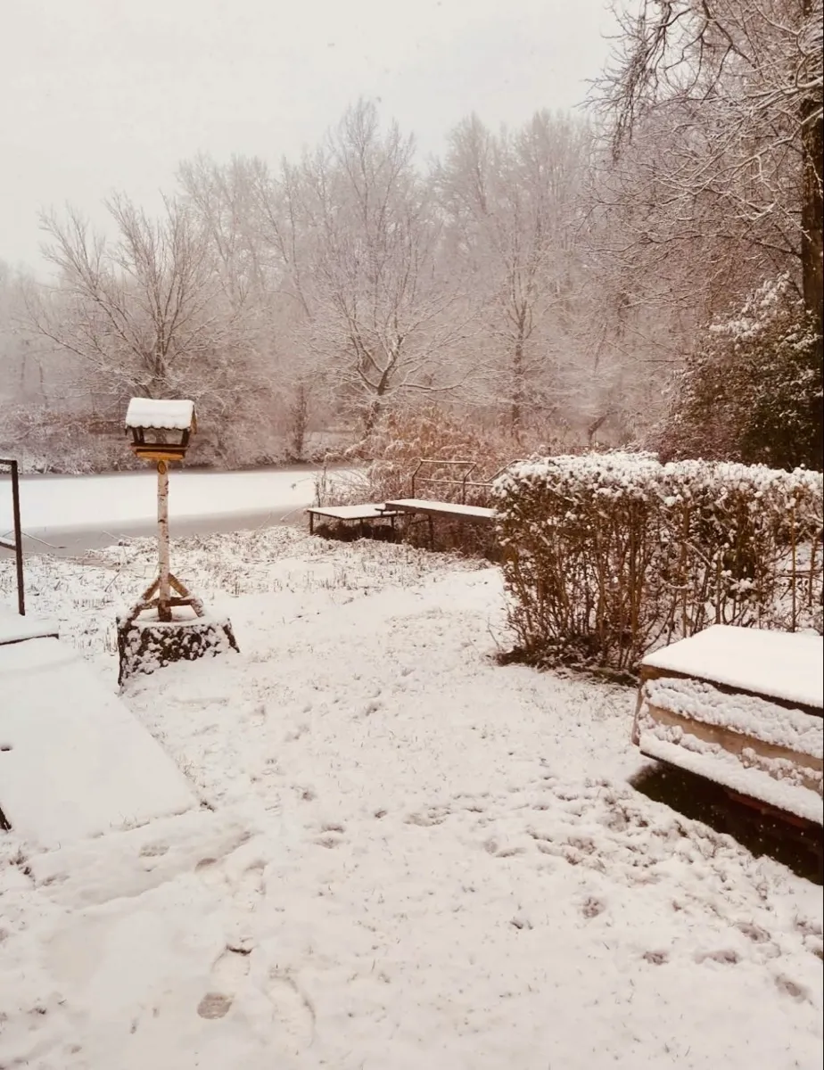 Haus – Ungarn - Ansicht 3