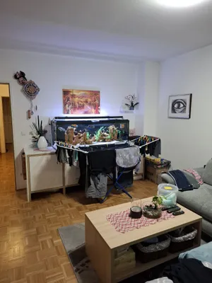 3-Zimmer-Wohnung mieten in Perg – 67,71 m², € 788 – Bild 8 von 13