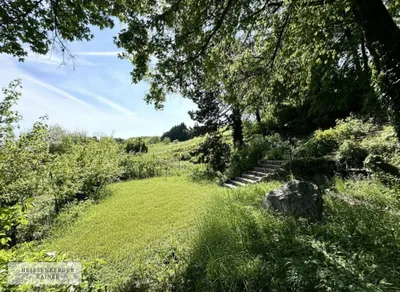 Grundstück kaufen in Mödling – 1 590 m², € 1.780.000 – Bild 5 von 7