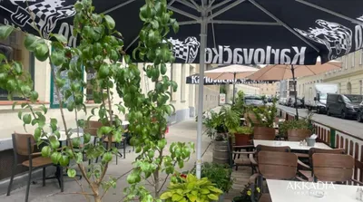 Gewerbeimmobilie kaufen in Wien – 270 m², € 820.000 – Bild 10 von 15