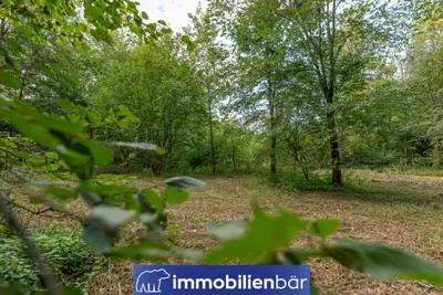 Immobilie kaufen in Ried im Innkreis – 10 710 m², € 135.000 – Bild 13 von 30