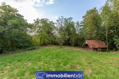 Immobilie kaufen in Ried im Innkreis – 10 710 m², € 135.000 – Bild 6 von 30