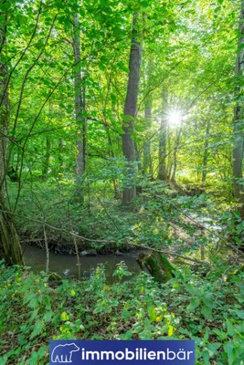 Immobilie kaufen in Ried im Innkreis – 10 710 m², € 135.000 – Bild 22 von 30