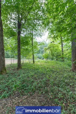 Immobilie kaufen in Ried im Innkreis – 10 710 m², € 135.000 – Bild 18 von 30