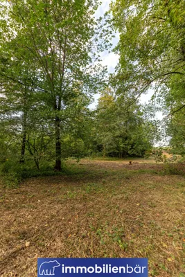 Immobilie kaufen in Ried im Innkreis – 10 710 m², € 135.000 – Bild 9 von 30