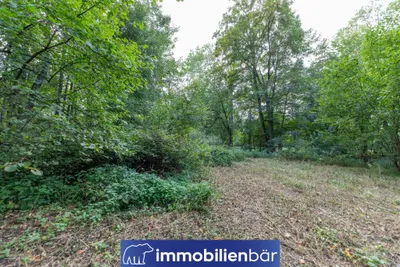 Immobilie kaufen in Ried im Innkreis – 10 710 m², € 135.000 – Bild 12 von 30