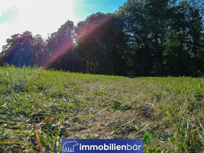 Immobilie kaufen in Ried im Innkreis – 10 710 m², € 135.000 – Bild 29 von 30