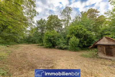 Immobilie kaufen in Ried im Innkreis – 10 710 m², € 135.000