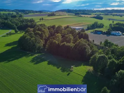 Immobilie kaufen in Ried im Innkreis – 10 710 m², € 135.000 – Bild 28 von 30