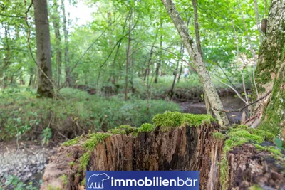 Immobilie kaufen in Ried im Innkreis – 10 710 m², € 135.000 – Bild 17 von 30