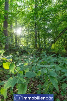 Immobilie kaufen in Ried im Innkreis – 10 710 m², € 135.000 – Bild 23 von 30