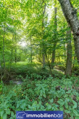 Immobilie kaufen in Ried im Innkreis – 10 710 m², € 135.000 – Bild 20 von 30
