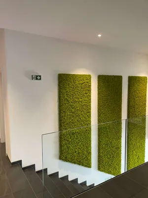 Gewerbeimmobilie mieten in Vöcklabruck – 1 m² – Bild 4 von 31