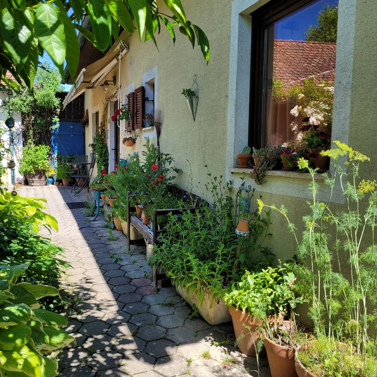 Einfamilienhaus mit Naturgarten - Ansicht 3