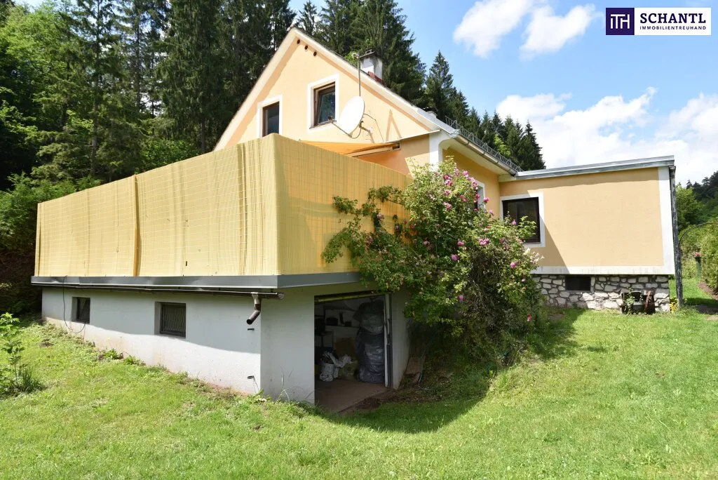Großzügiges Einfamilienhaus mit 2.270 m² Grundstück und vielseitigen Nutzungsmöglichkeiten" - Widok 3