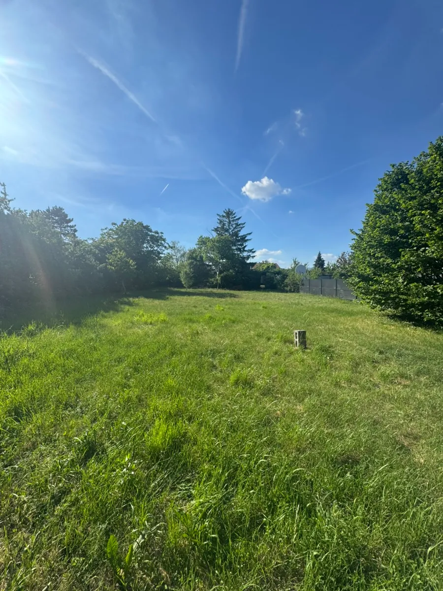 Baugrundstück in Matzendorf-Hölles - 1.100 m², aufgeschlossen & ebenerdig