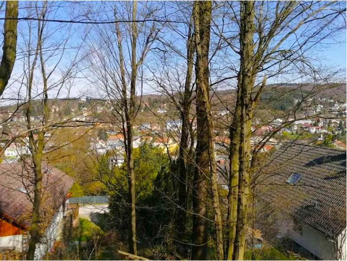 Einzigartiges Grundstück mit unverbautem Blick in Toplage - Ansicht 3