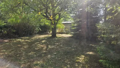 3-Zimmer-Haus kaufen in Wien – 80 m², € 940.000 – Bild 2 von 12