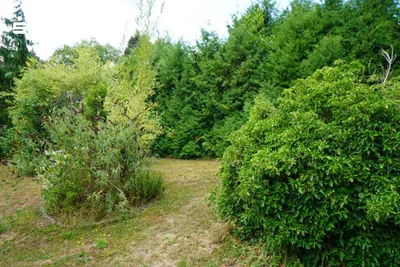 4-Zimmer-Haus kaufen in Sankt Pölten Land – 957 m², € 349.000 – Bild 14 von 40