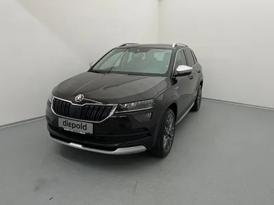 Skoda Karoq 4x4 SCOUT TDI DSG