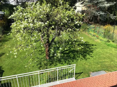 7-Zimmer-Haus mieten in Wien – 298,4 m², € 3.800 – Bild 7 von 30