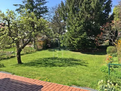 7-Zimmer-Haus mieten in Wien – 298,4 m², € 3.800 – Bild 5 von 30