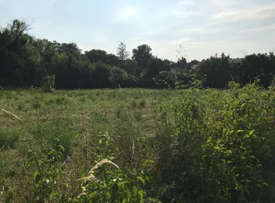 Grundstück kaufen in Bruck an der Leitha – 502 m², € 115.000 – Bild 3 von 10