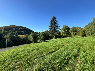 Grundstück kaufen in Südoststeiermark – 2 500 m², € 69.500 – Bild 12 von 23