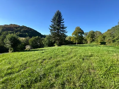 Grundstück kaufen in Südoststeiermark – 2 500 m², € 69.500 – Bild 3 von 23