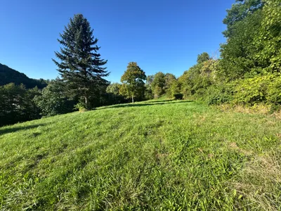 Grundstück kaufen in Südoststeiermark – 2 500 m², € 69.500 – Bild 4 von 23