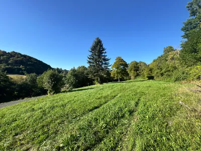 Grundstück kaufen in Südoststeiermark – 2 500 m², € 69.500 – Bild 5 von 23