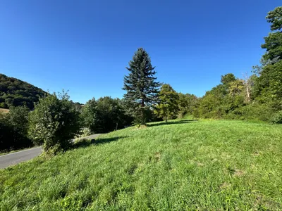 Grundstück kaufen in Südoststeiermark – 2 500 m², € 69.500 – Bild 13 von 23