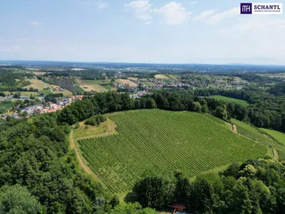 Grundstück kaufen in Leibnitz – 11 733 m², € 1.400.000