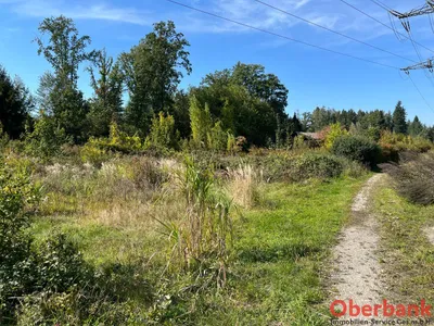 Grundstück kaufen in Braunau am Inn – 23 550 m², € 164.900 – Bild 1 von 6
