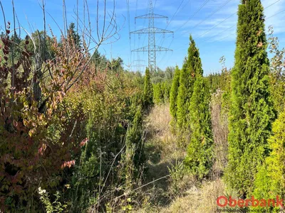 Grundstück kaufen in Braunau am Inn – 23 550 m², € 164.900 – Bild 6 von 6