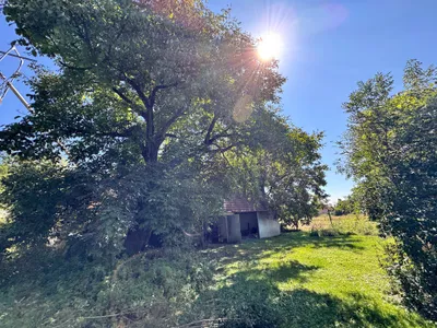 9-Zimmer-Haus kaufen in Südoststeiermark – 340 m² – Bild 82 von 97