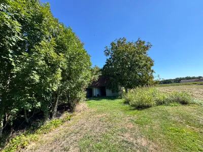 9-Zimmer-Haus kaufen in Südoststeiermark – 340 m² – Bild 41 von 97
