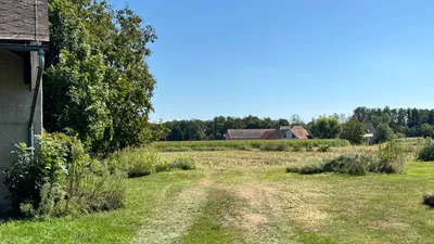 9-Zimmer-Haus kaufen in Südoststeiermark – 340 m² – Bild 44 von 97