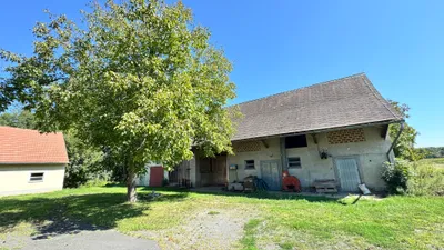 9-Zimmer-Haus kaufen in Südoststeiermark – 340 m² – Bild 49 von 97