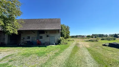 9-Zimmer-Haus kaufen in Südoststeiermark – 340 m² – Bild 76 von 97