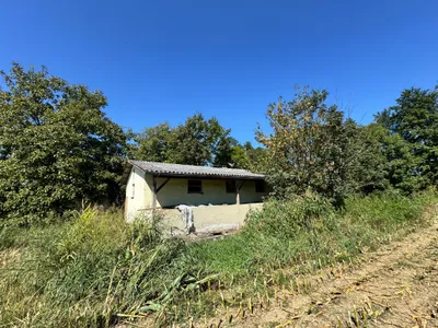 9-Zimmer-Haus kaufen in Südoststeiermark – 340 m² – Bild 80 von 97