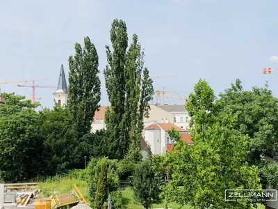 lichtdurchflutetes Dachgeschoss mit Charme und Freifläche | ZELLMANN IMMOBILIEN