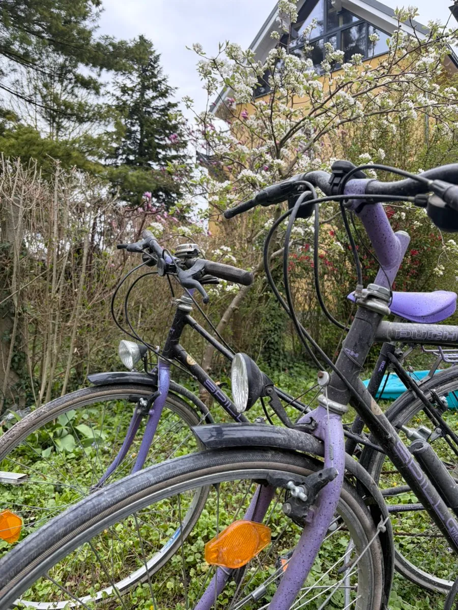 fahrradcomputer gebrauchsanweisung SKIKHN Digital, Tacho Fahrrad, 19 Funktionen wasserdichte mit Hintergrundbeleuchtetem Display Fahrradtacho, Kabelgebundene Sonnenschirm im Winter richtig fahrradgarage für 2 e-bikes Farbe:grau (timeless moss)